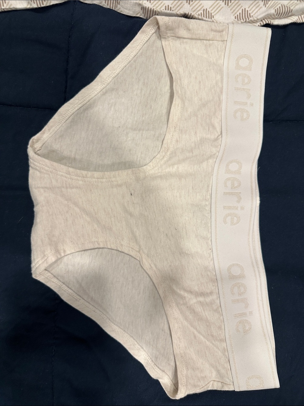Aerie Light Beige Logo Waist Boybrief Panties